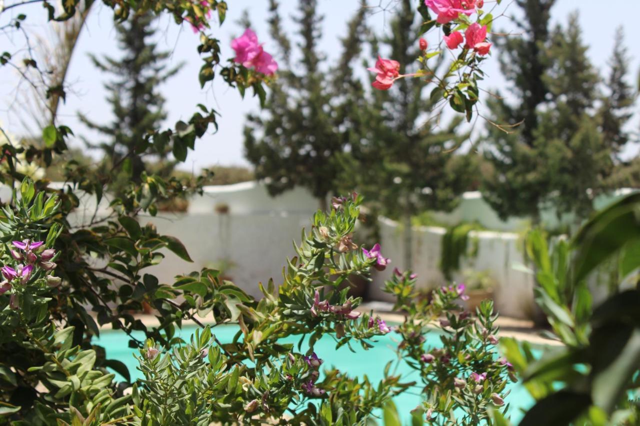 Riad Sanam Essaouira Exterior photo