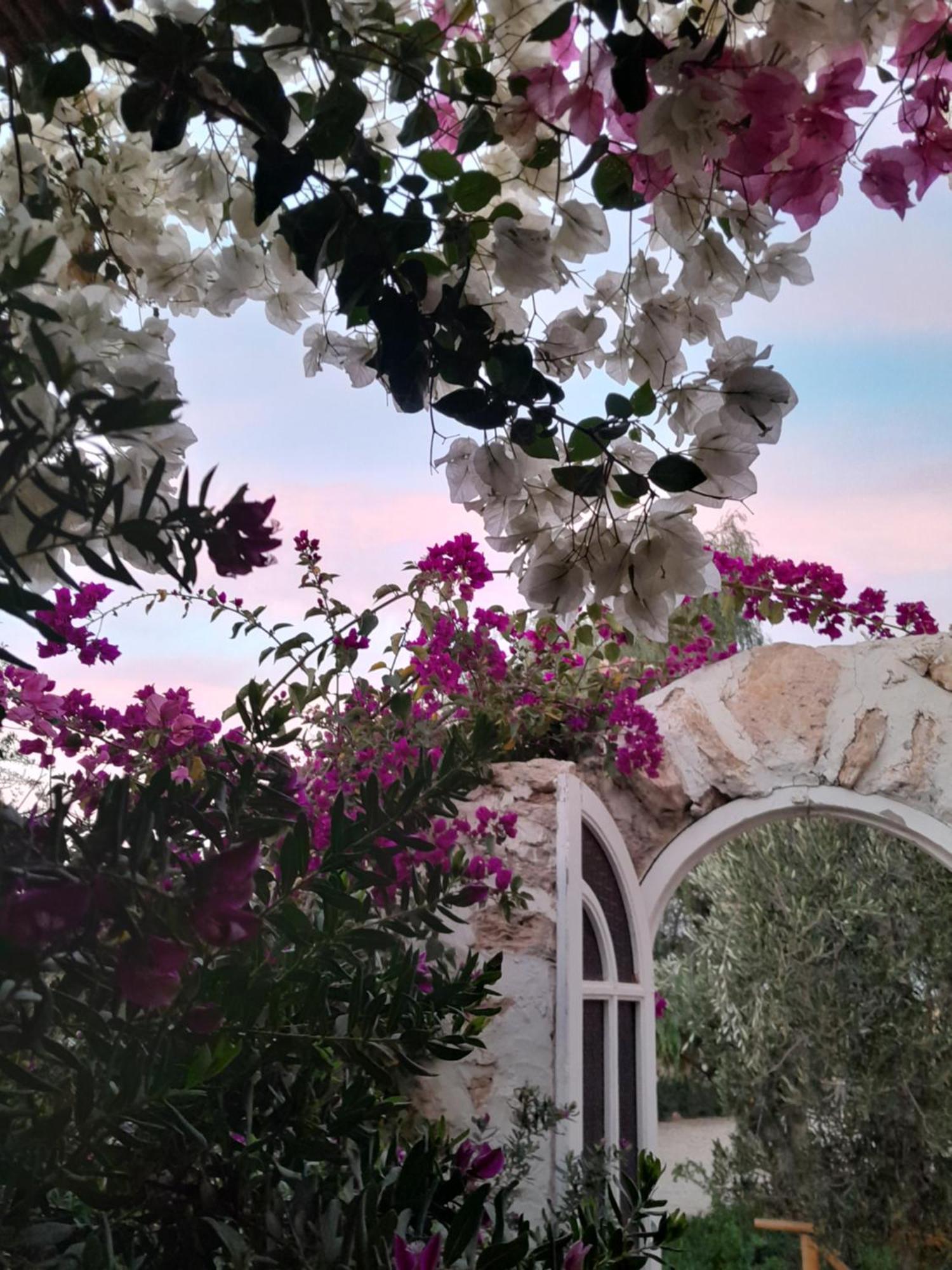 Riad Sanam Essaouira Exterior photo